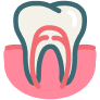 icon6